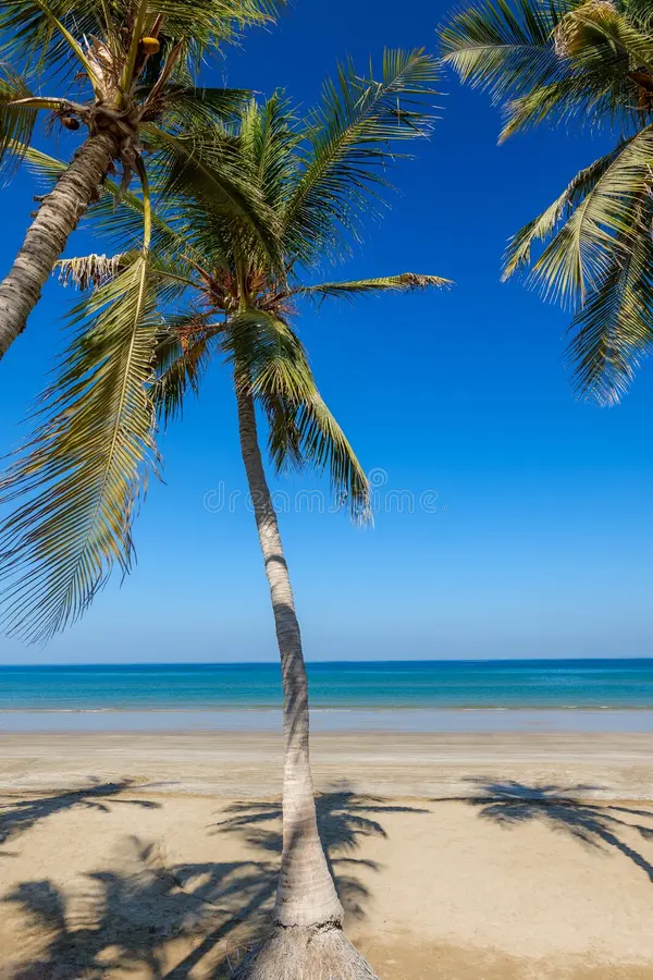 Best-Site-to-Plan-Your-Dream-Trip-From Image 1
